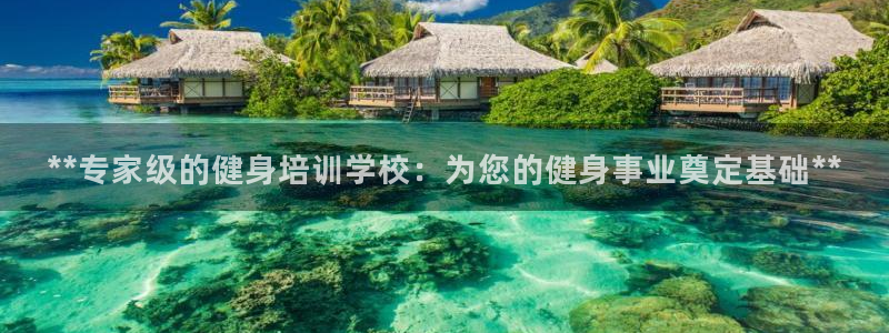 龙8国际现金