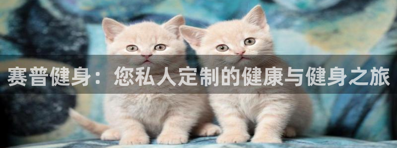 龙8国际官网app下载旧