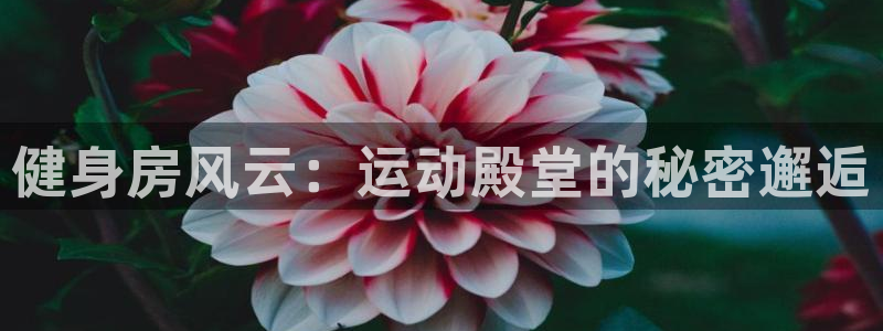 龙8国际手机版下载