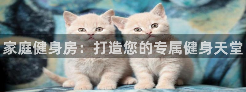 国际龙8hk