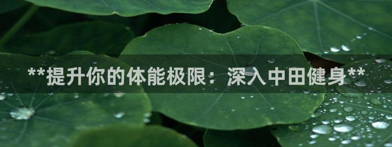 龙8国际为啥改名叫头号玩家了