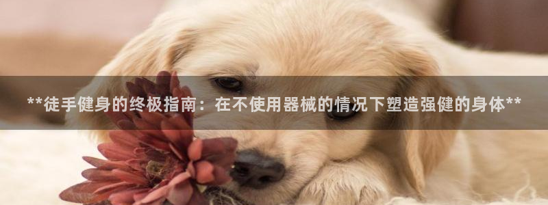 龙8国际.com