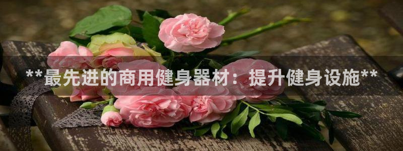 龙8游戏官方网站p