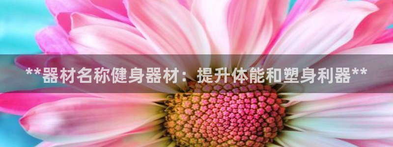 龙8国际官方手机版登录