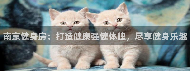 龙8国际怎么样
