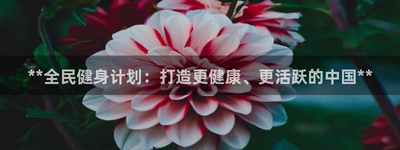 龙8国际官方网站手机版