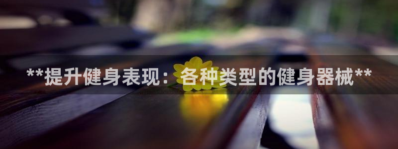 龙8国际手机游戏官网版