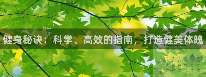 龙8国际是真的吗