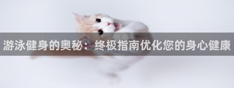 龙8国际long123