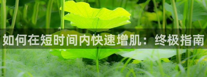 龙8国际手机游戏官网