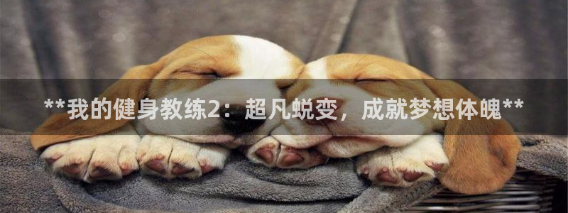 龙八国际官方网