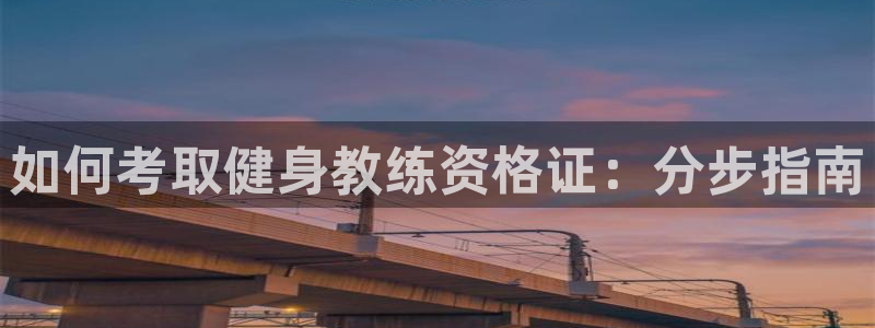 龙 八国际