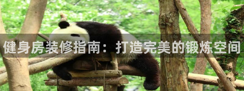 龙8国际2020官方网站