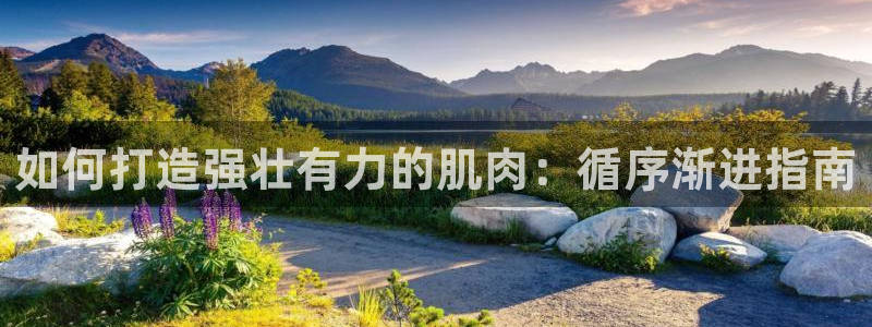 龙8国际手机版下载