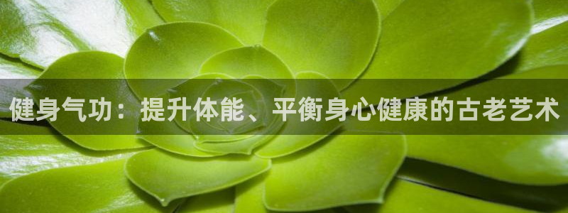 龙八国际下载链接