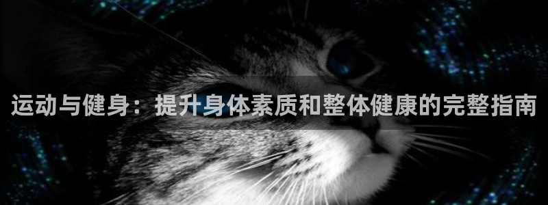 龙8国际的漏洞