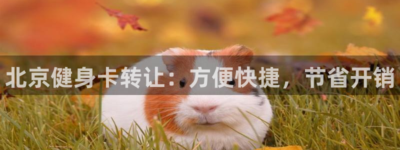 龙8游戏官网