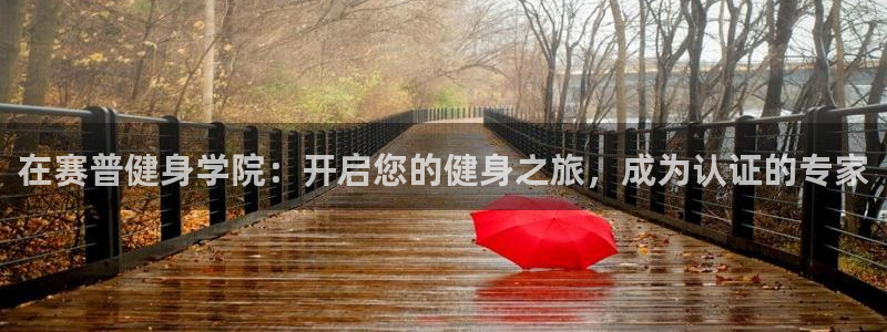 龙八国际网页