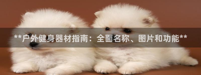 龙8国际手机版官网