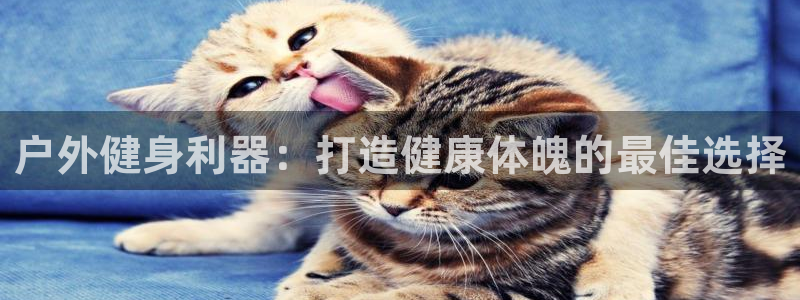 龙8国际线上