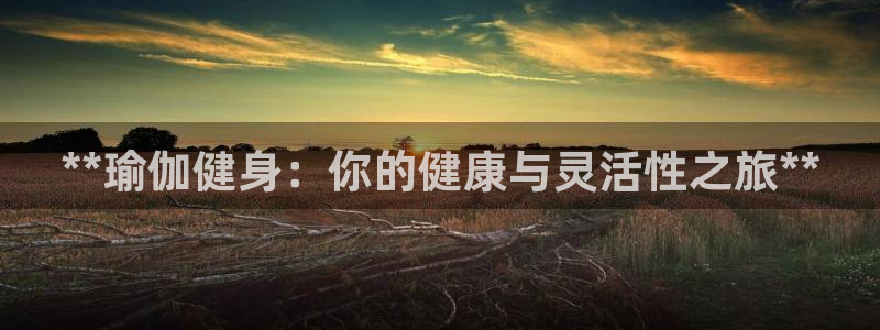 龙8国际long8