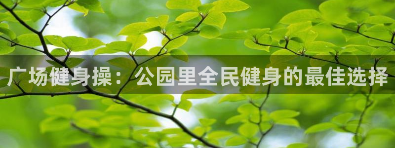龙八国际网页登录