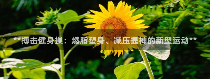 龙8国际long8官方版下载