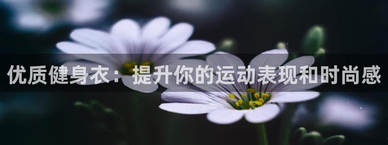 龙8国际登录
