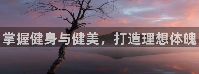 龙8国际手机版注册