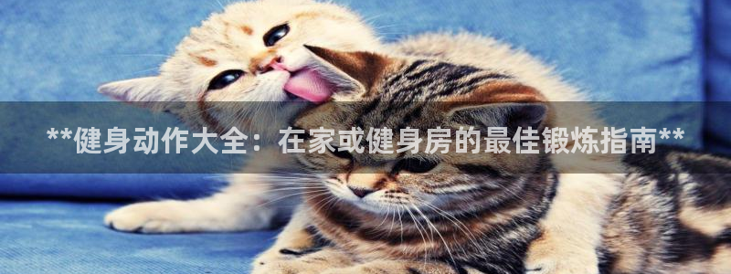 龙8老虎机网络游戏