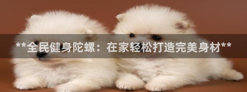 国际龙8hk