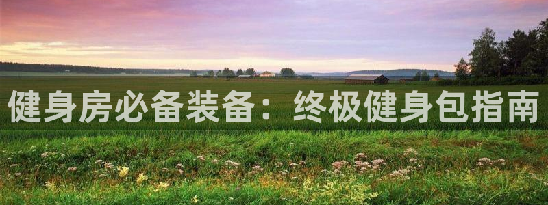 龙八国际登录密码