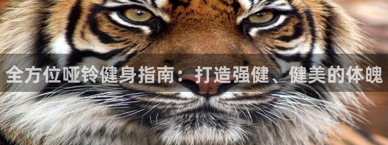 龙8国际唯一官网