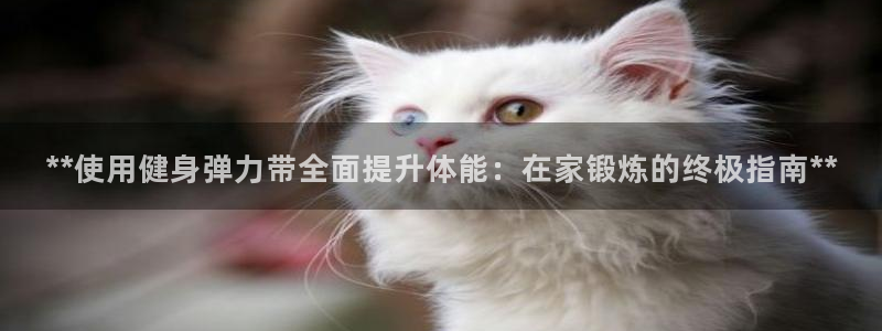 龙8国际平台登录
