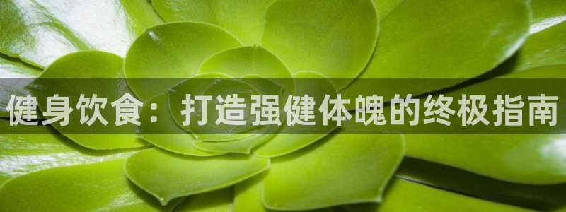 龙8国际在线