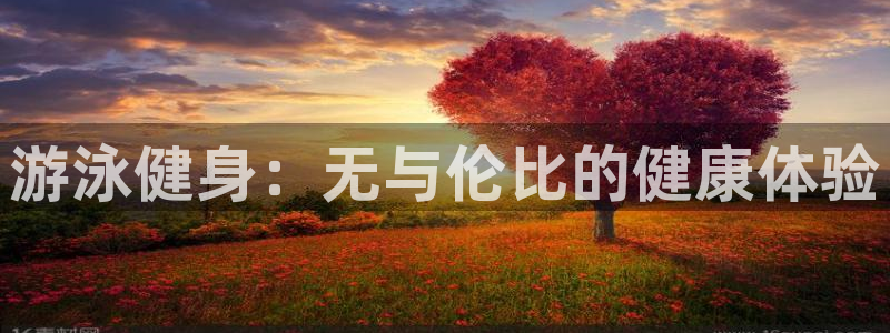 龙8国际是什么电影
