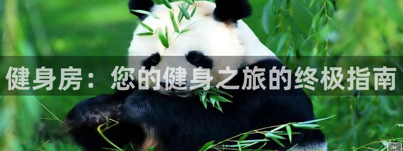 龙8国际平台官网