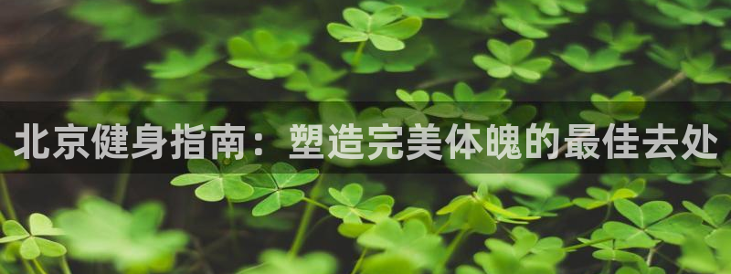 龙8国际官方网页