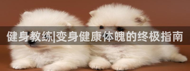 龙八国际app客户端下载不了