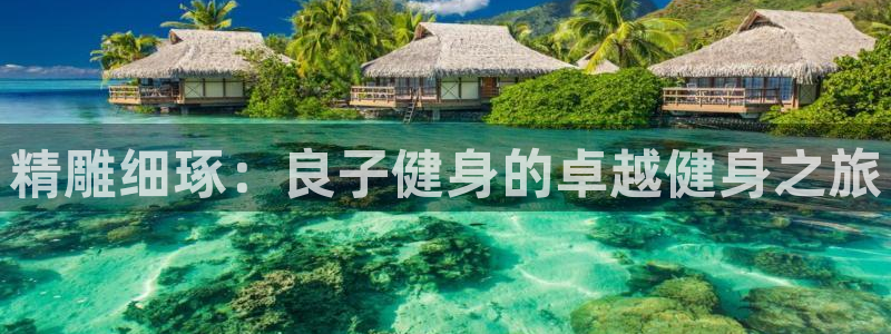 龙8游戏官方网站登录