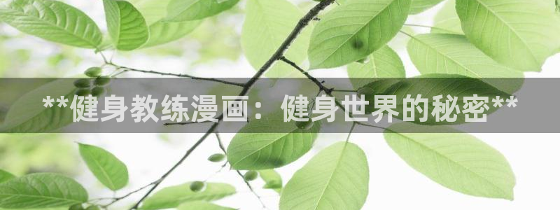 龙8国际平台登录