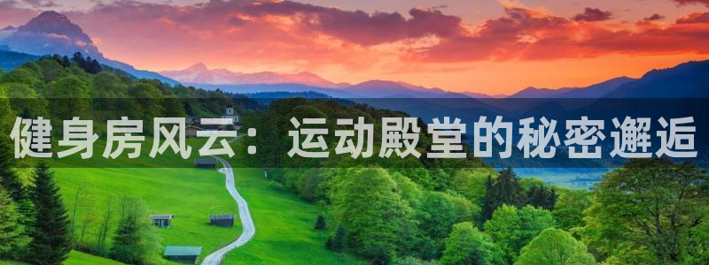 龙八国际登录入口