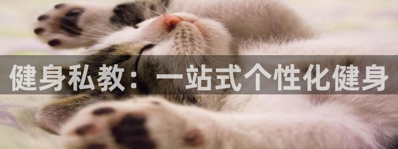 龙八国际app客户端下载