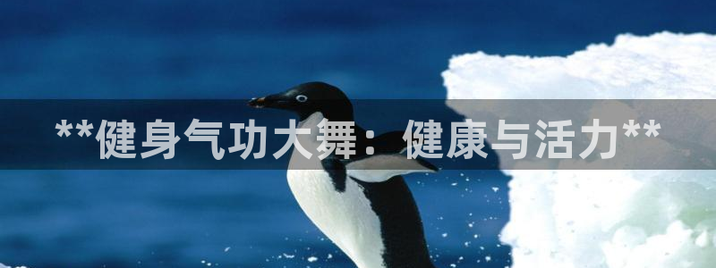 龙8国际pt网址官方