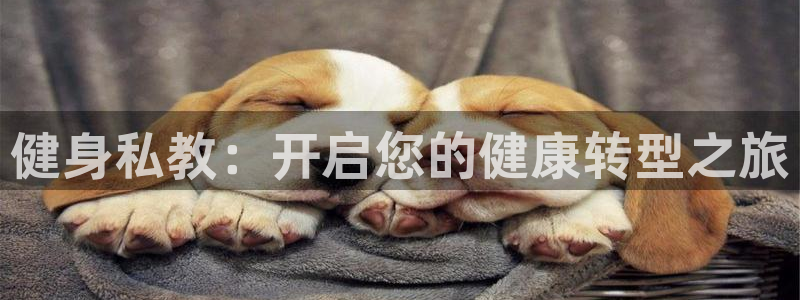 龙8国际网址多少