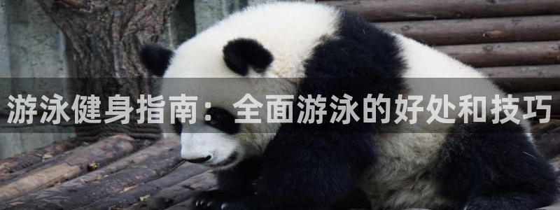 龙8国际被侦破了吗