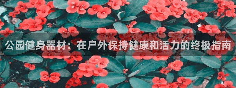 龙8国际客服