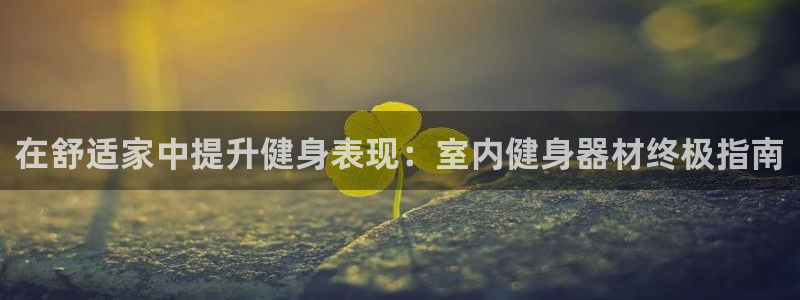 龙8国际.apk