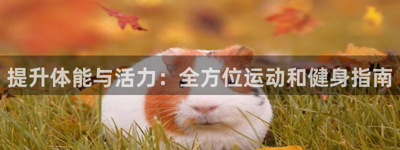 龙8国际版