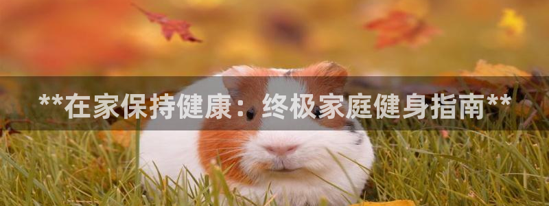 龙8国际2021官方网站pkufli5.10